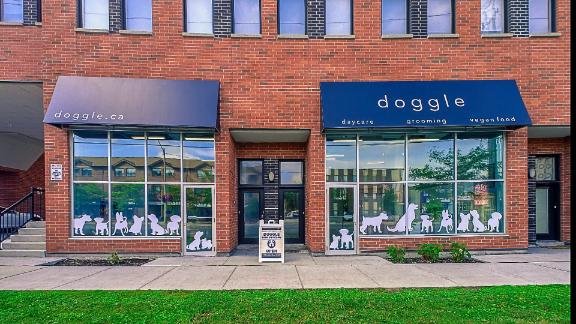 The Doggle Pet Center